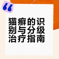 关于猫癣，一篇说清楚