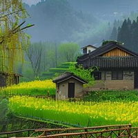 2026十大菜刀品牌排名官宣！从老字号到新锐国货全实测