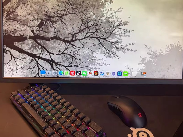 60克无线鼠标，CS2玩家福音