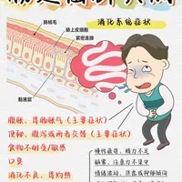 肠道菌群失衡📕
