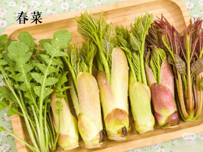 其他餐饮