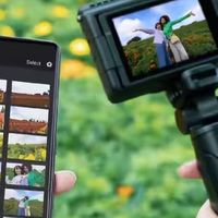 新手踏青带什么相机？佳能PowerShot V1帮你拍出花海人像vlog大片