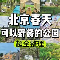 春日野餐指南:城市公园与近郊湖畔