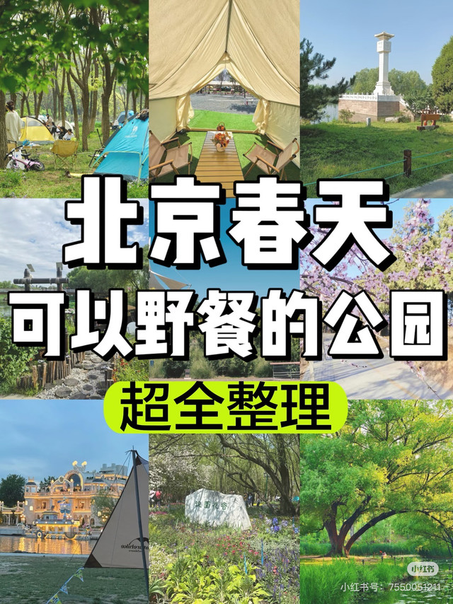 春日野餐指南：城市公园与近郊湖畔