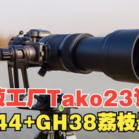 洋葱工厂Tako23+BC44+GH38荔枝悬臂云台 打鸟实战