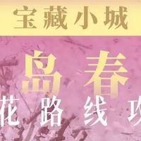 2026青岛春季赏花攻略来啦🌸花期表和最佳拍照📷点位都给你整理好了,这个春天一起跟我去青岛看樱花吧❤️
