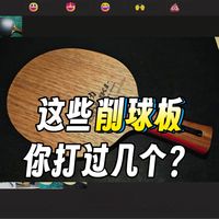【乒乓球】从S到D锐评所有打过的削球板