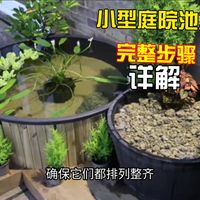 【中文配音】如何在露台上建造带过滤系统的小型金鱼池-完整步骤详解