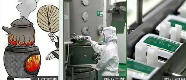 铁皮石斛选购技巧：三招教你怎么选哪个
