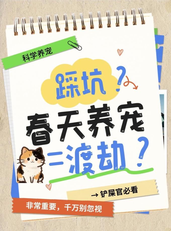 狗狗