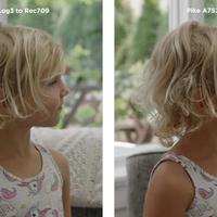 阴天直出封神！ZV新手闭眼抄的保姆级人像花海拍摄攻略