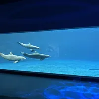 富力海洋欢乐世界凯悦酒店攻略