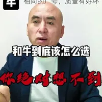 和牛怎么选|和牛等级划分|和牛梯队排名|纯血和牛|F1 F2 F3 F4区别|和牛品种对比|高端和牛|中端和牛|性价比和牛|餐饮专用和牛|烤肉店和牛|火锅店和牛|牛肉加工厂原料|和牛批发|进口和牛|澳洲和牛|和牛部位推荐|和牛采购攻略|餐饮进货怎么选和牛|经销商拿货和牛#