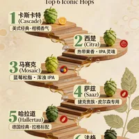 6 大硬核啤酒花|精酿小白秒变懂酒大佬🍻