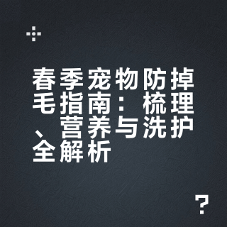 春季宠物掉毛季｜别慌，这样做就对了