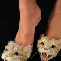 好想拥有这双猫猫鞋！