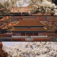 听劝❗️春天去故宫之前一定要做功课❗️