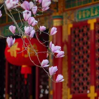 在彭州三圣寺试镜SMC PENTAX 1:2.5 135 mm