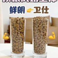 烘焙粮老吃家报道，咪选好粮奉上！