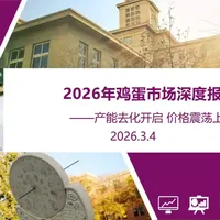 2026年鸡蛋市场深度报告：产能去化开启 价格震荡上行