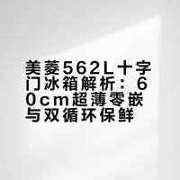 大容量十字门冰箱来啦