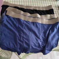 金利来 2026 新款莫代尔冰丝平角裤｜男生夏日刚需！