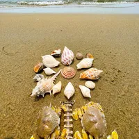春节大潮！我心中的北海海滩NO1～免费海货多