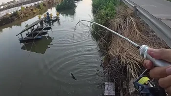 89块一整套的路亚装备能玩吗？一百预算玩路亚，这套澳卡银鲈只要89元，杆轮线饵都给你配齐，顺丰包邮到手就能直接开钓，新手也能轻松上鱼，非常适合想入坑路亚又不想花太多钱尝试的新手学生党钓友