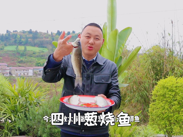 又是一年吃鲫鱼的时候，用葱黄来烧鲜嫩入味