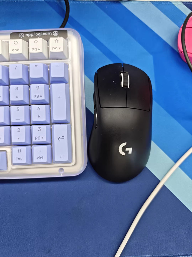 闲鱼捡漏！千元内拿下GPW4鹰眼鼠标
