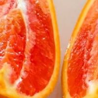 秭归红肉橙产地直发8斤装把春天吃进嘴里