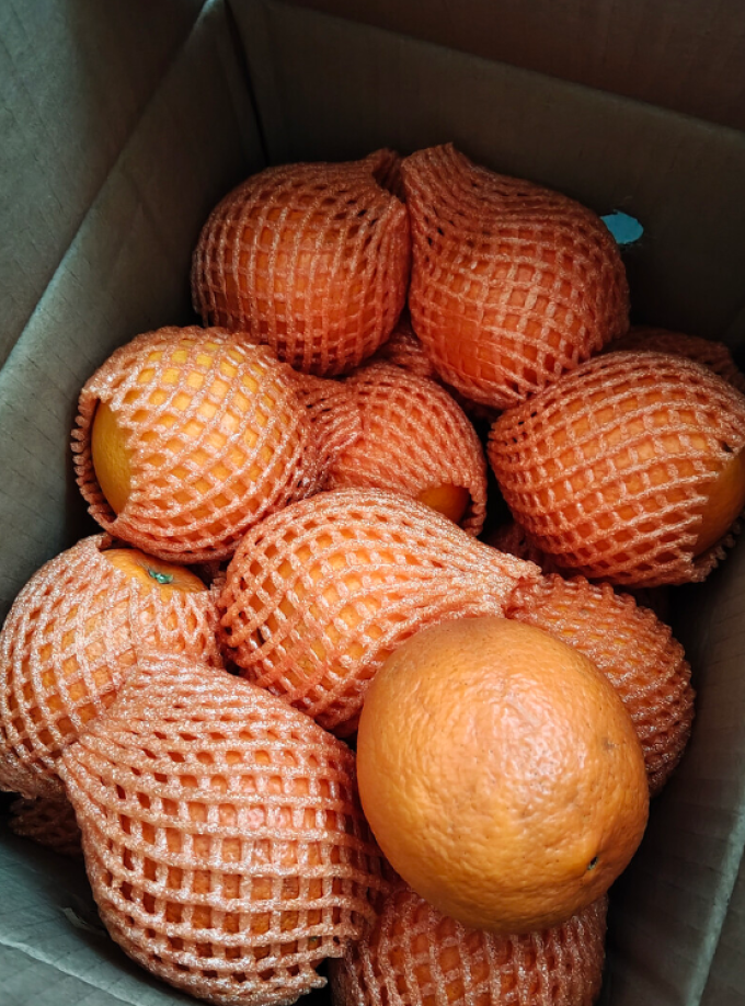 京觅新鲜水果