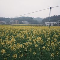 社会工作考试初级（每日3个真题）