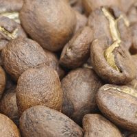 ☕️ 春困救星！这杯云南卡杜艾手冲，把西双版纳的风喝进嘴里