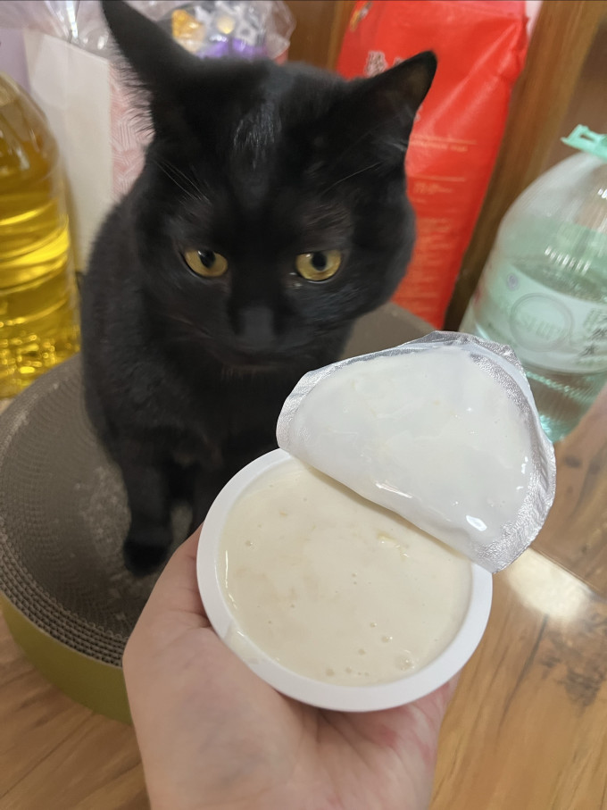 撸比狗狗零食罐头