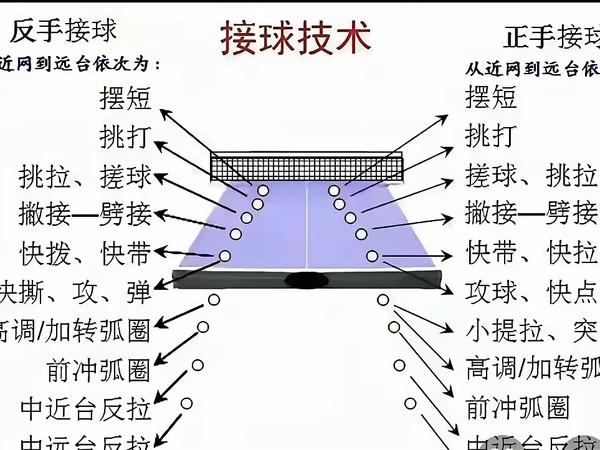 乒乓球，运动中转动的激情