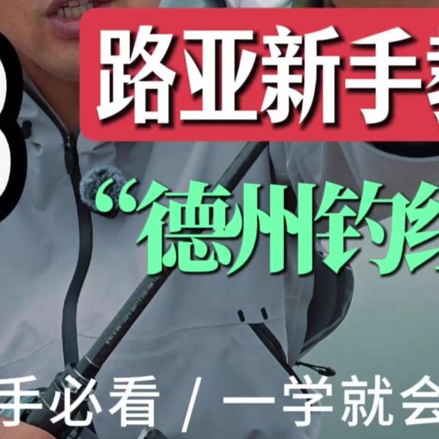 路亚新手入门教程，德州钓组的操控经验