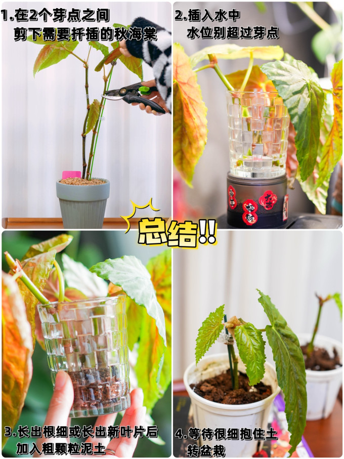 鲜花速递