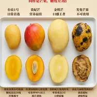 芒果图鉴：芒果你平时一般怎么选？