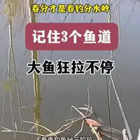 春季钓鱼分三阶段，早春鱼口弱、仲春渐开口、晚春全开口。而真正的爆护旺季，不是惊蛰也不是清明，而是春分之后！惊蛰只有鲫鱼动，春分一到大鱼全面开口，能钓的鱼种直接翻倍。