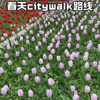 如果在春天来上海南京西路，快码住这条本地人私藏的小众宝藏路线 如果你在春天来上海南京西路，快码住这条本地人私藏的小众宝藏路线，赏花逛展，好吃好玩，深度感受独属上海的春日浪漫！结尾附详细线路图！