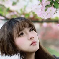 永诺➕佳能r100能拍出怎样的照片