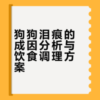 养狗人崩溃时刻：狗狗泪痕怎么办