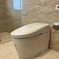 🚽自己动手 解决TOTO智能马桶返臭问题