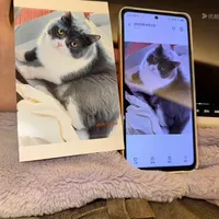 试炼18张后——佳能cp1500调色记录