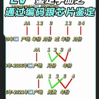 《LV鉴定手册》之全网最全面最详细的——编码解读科普。
