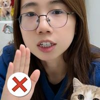 宠物医生最烦铲屎官给猫买这些！