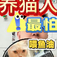 猫咪喂鱼油到底有没有必要
