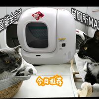 铲屎官的福音-小佩智能猫厕所MAX2代 你值得拥有