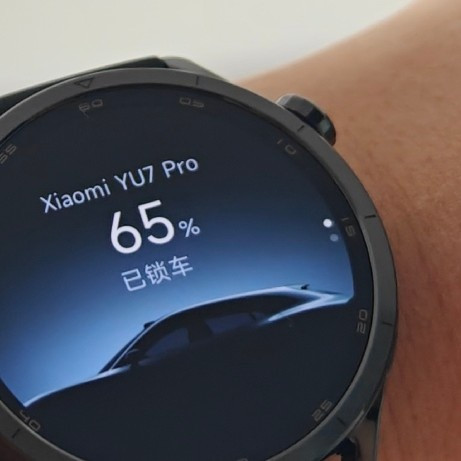 小米很聪明啊，我快要变成miboy了